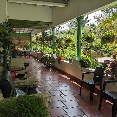 Casa Finca Paititi San Antonio エクステリア 写真